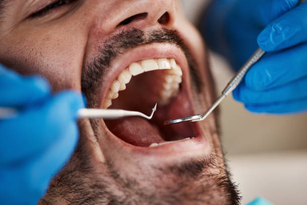 Professional Dental Services in Orwell, OH